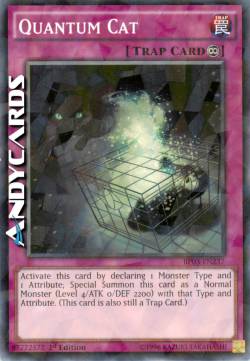 GATTO QUANTICO
