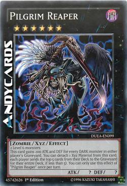 MIETITORE PELLEGRINO