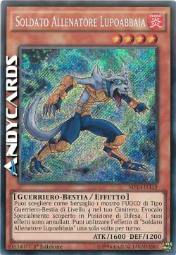 COACH SOLDIER WOLFBARK