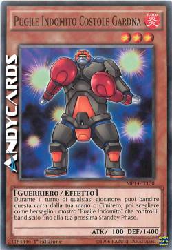 PUGILE INDOMITO COSTOLE GARDNA