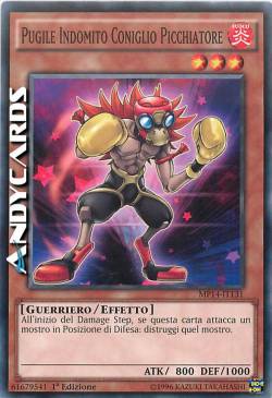 PUGILE INDOMITO CONIGLIO PICCHIATORE