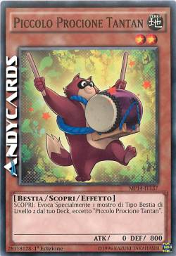 PICCOLO PROCIONE TANTAN