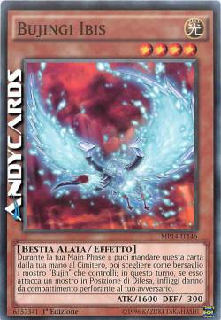 BUJINGI IBIS