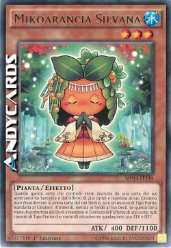 MIKOARANCIA SILVANA