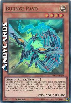 BUJINGI PAVO