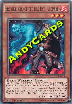 FRATELLANZA DEL PUGNO DI FUOCO - LEOPARDO