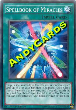 LIBRO DI MAGIA DEI MIRACOLI