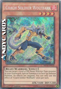 SOLDATO ALLENATORE LUPOABBAIA