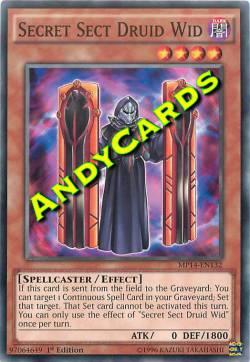 DRUIDO WID SETTA SEGRETA