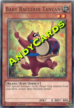 PICCOLO PROCIONE TANTAN