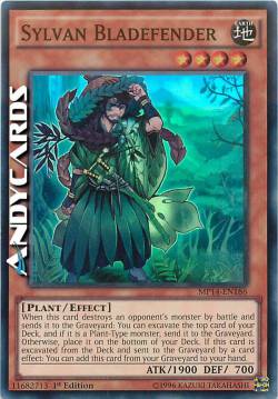 LAMADIFENSORE SILVANO