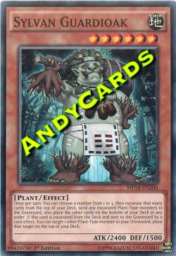 GUARDIAQUERCIA SILVANA