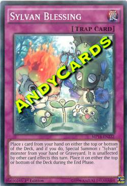 SYLVAN BLESSING