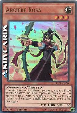 ARCIERE ROSA