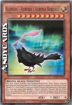 ALANERA - AURORA L'AURORA BOREALE