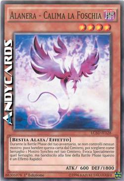 ALANERA - CALIMA LA FOSCHIA