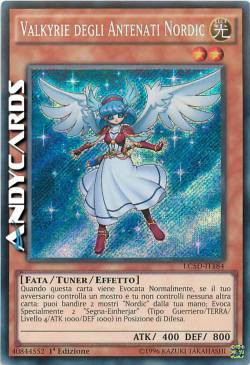 VALKYRIE DEGLI ANTENATI NORDIC