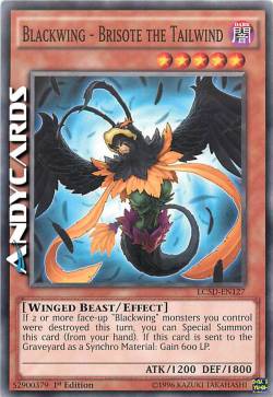 BLACKWING - BRISOTE THE TAILWIND