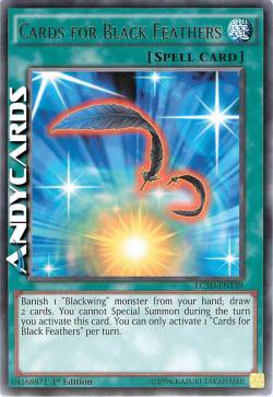 CARDS FOR BLACK FEATHERS
