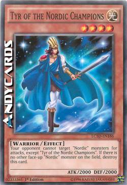 TYR DEI CAMPIONI NORDIC