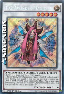 T.G. MAGA MERAVIGLIOSA