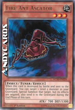 FORMICA DI FUOCO ASCATOR