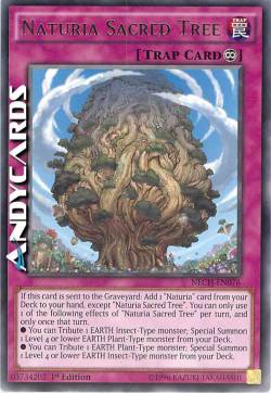 NATURIA L'ALBERO SACRO