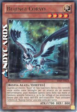 BUJINGI CORVO