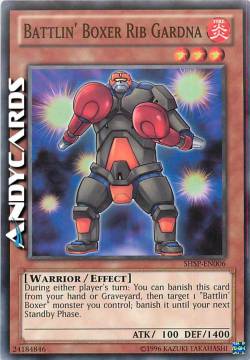 PUGILE INDOMITO COSTOLE GARDNA