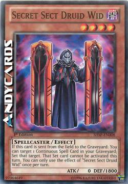 DRUIDO WID SETTA SEGRETA