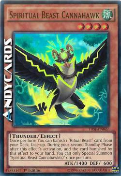 AVATAR BESTIA SPIRITO CANNAHAWK