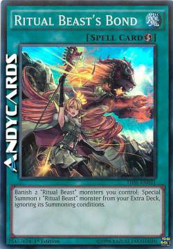 LEGAME DEI BESTIA SPIRITO