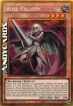 PALADINA ROSA