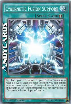 SUPPORTO DI FUSIONE CIBERNETICA