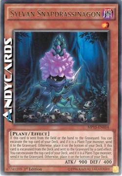 SCATTODRAGASSASSINO SILVANO