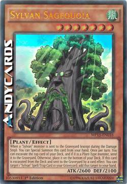 SAGGIASEQUOIA SILVANA