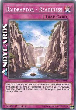 RAIDRAPTOR - PRONTEZZA