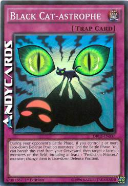 CATASTROFE DEL GATTO NERO