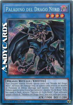 PALADINO DEL DRAGO NERO