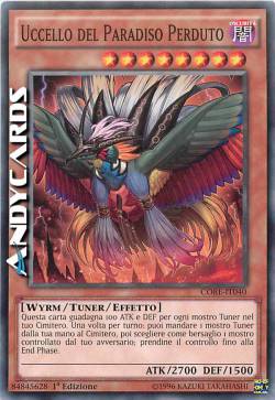 UCCELLO DEL PARADISO PERDUTO