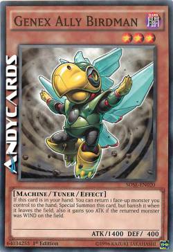 GENEX ALLEATO UOMO UCCELLO