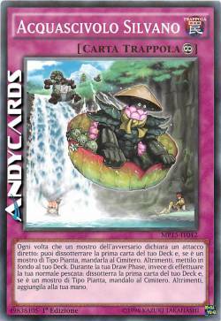 ACQUASCIVOLO SILVANO