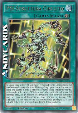 PSI-STRUTTURA CIRCUITO