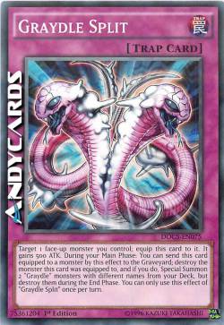 DIVISIONE RETICULLIANA