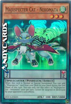 MAESTOSPETTRO GATTO - NEKOMATA