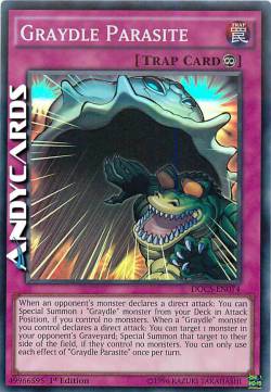 PARASSITA RETICULLIANO