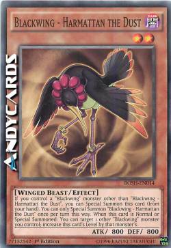 ALANERA - HARMATTAN LA POLVERE