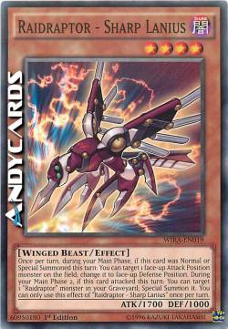 RAIDRAPTOR - LANIUS AFFILATO