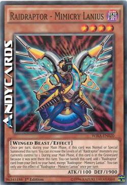 RAIDRAPTOR - LANIUS IMITATORE