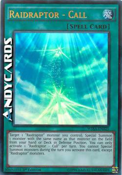 RAIDRAPTOR - RICHIAMO